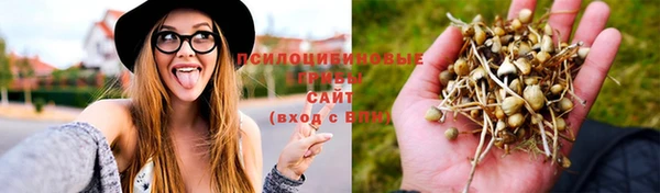 MESCALINE Арсеньев
