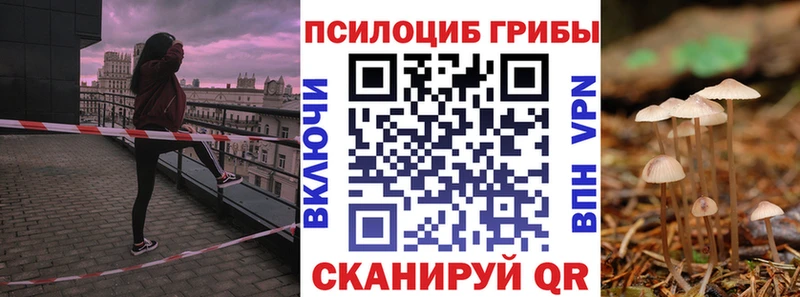 Галлюциногенные грибы GOLDEN TEACHER  Верхняя Пышма 
