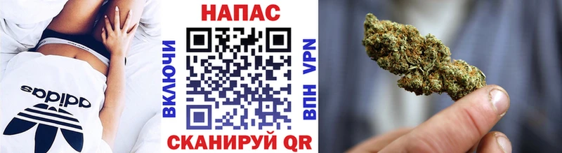 закладка  Верхняя Пышма  Шишки марихуана сатива 